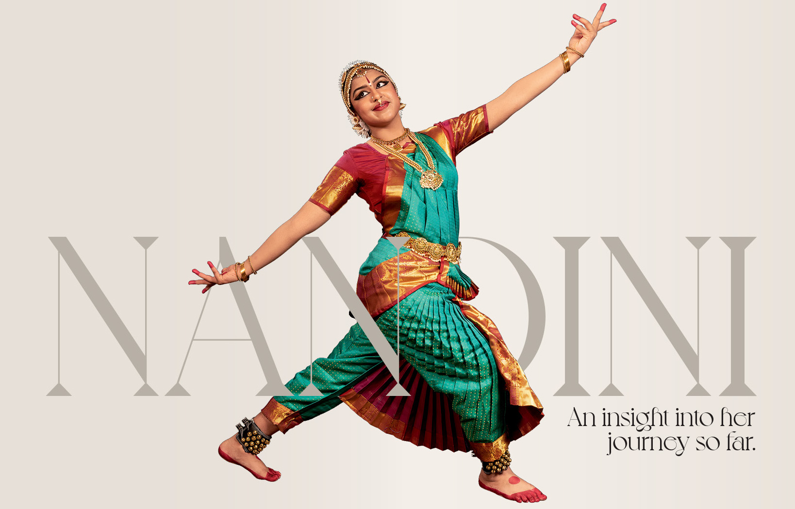Nandinis Journey